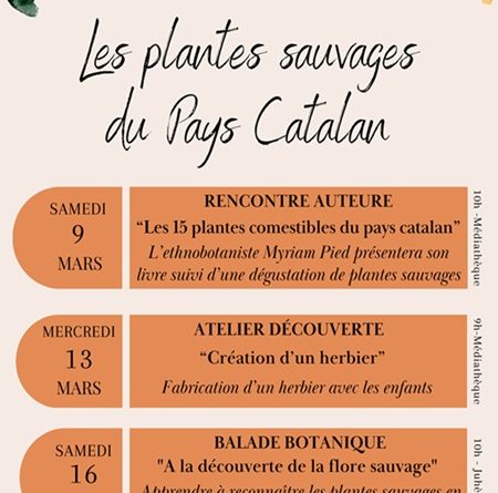 Cycle thématique sur ” Les plantes sauvages du Pays Catalan” à Torreilles.