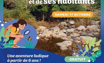 Natura 2000, une sortie en famille à la découverte de la ripisylve